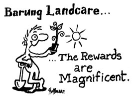 Rewards