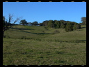 Maleny Community Precinct 13