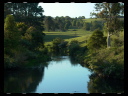 Maleny Community Precinct 16