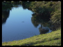 Maleny Community Precinct 17