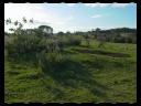 Maleny Community Precinct 02