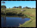 Maleny Community Precinct 21