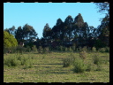 Maleny Community Precinct 23