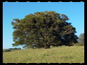 Maleny Community Precinct 25