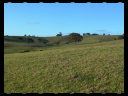 Maleny Community Precinct 26