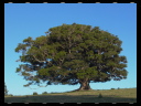 Maleny Community Precinct 28