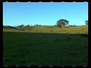 Maleny Community Precinct 29