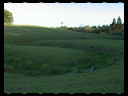 Maleny Community Precinct 30