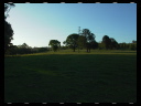 Maleny Community Precinct 31