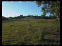 Maleny Community Precinct 32