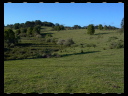 Maleny Community Precinct 05