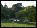 Maleny Community Precinct 06