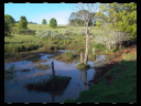 Maleny Community Precinct 08