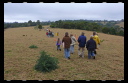 Site Walk August 15
