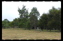 Site Walk August 17