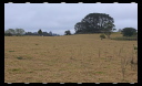Site Walk August 18