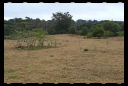 Site Walk August 19