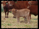 Site Walk August 23