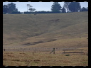 Site Walk August 38