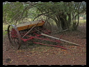 Site Walk August 04