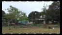 Site Walk August 05