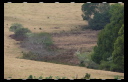 Site Walk August 09