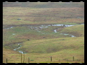 North Wetlands 01