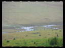 North Wetlands 10