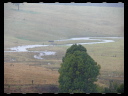 North Wetlands 02