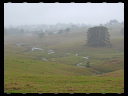 North Wetlands 03