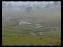 North Wetlands 04