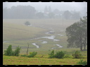 North Wetlands 06