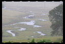North Wetlands 07