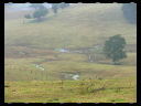 North Wetlands 08