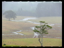 North Wetlands 09